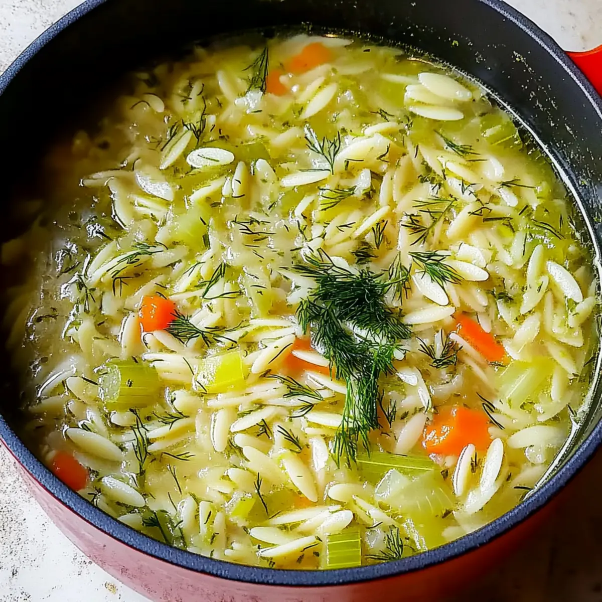 Orzo, Leek and Dill Soup