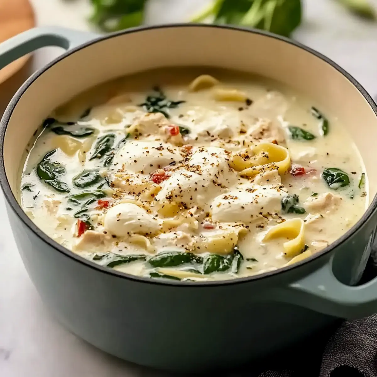 Quick White Lasagna Soup